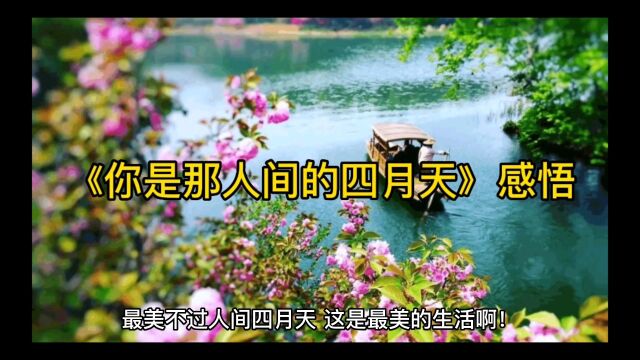 《你是那人间的四月天》感悟