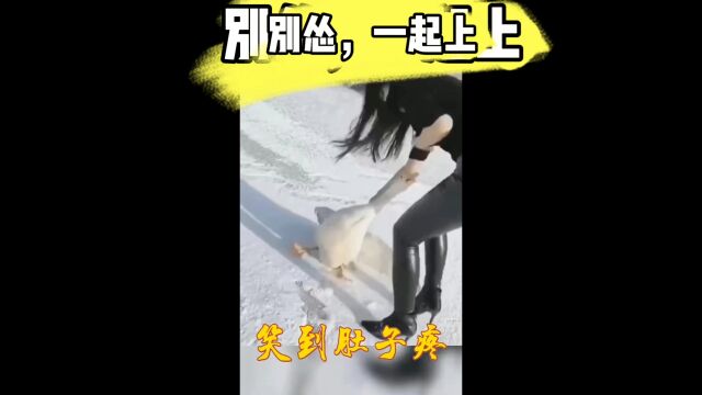 搞笑爆款视频|生活+