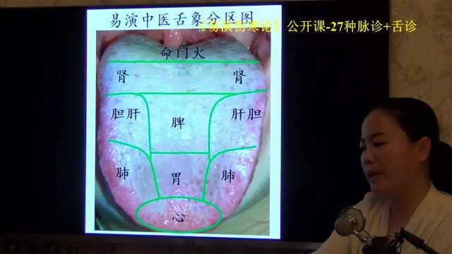 15脉象特点分类 易演伤寒论公开课4