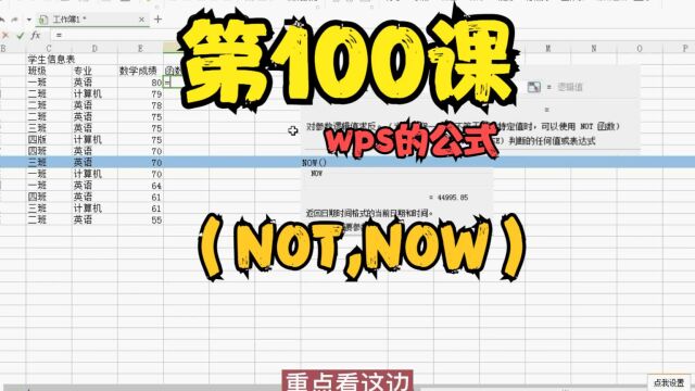 第100课wps的公式(NOT,NOW)