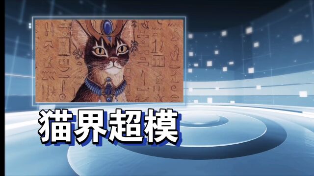 古埃及的阿比西尼亚猫住过法老王的宫殿吗?