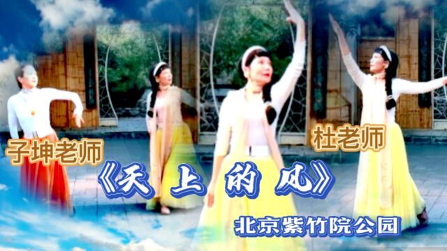 杜老师、子坤老师紫竹院公园表演《天上的风》!抒情优美