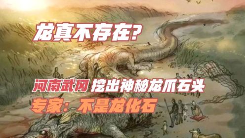 龙真的不存在吗？河南武冈挖出龙爪形石头，专家称并非龙的化石！
