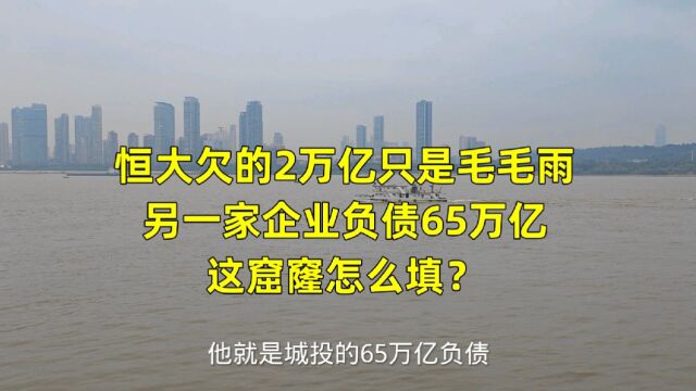 恒大欠的2万亿只是毛毛雨,另一家企业负债65万亿,这窟窿怎么填?