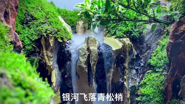 瀑布式小水陆#水陆缸造景 #大自然的搬运工