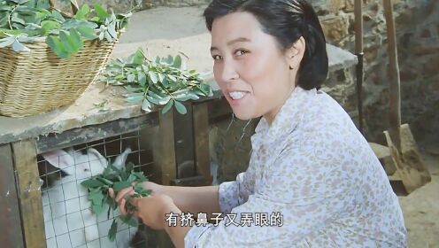第二集:41年前的经典老电影,长舌妇搅得一家人不得安生_高清1080P在线观看平台_腾讯视频