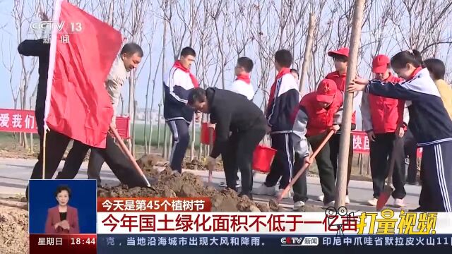 今年国土绿化面积不低于一亿亩,跟随记者了解各地植树的情况