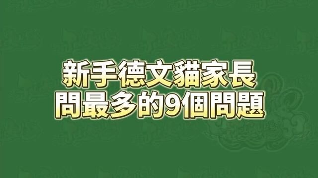 #德文卷毛猫 #养猫知识分享 德文猫新手家长常问的9个问题 感谢台湾兄弟ArWan的素材分享 素材来源台湾宠爱卷毛猫舍