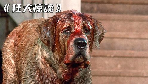 小狗被蝙蝠咬鼻子，不小心感染了狂犬病毒，惊悚电影《狂犬惊魂》