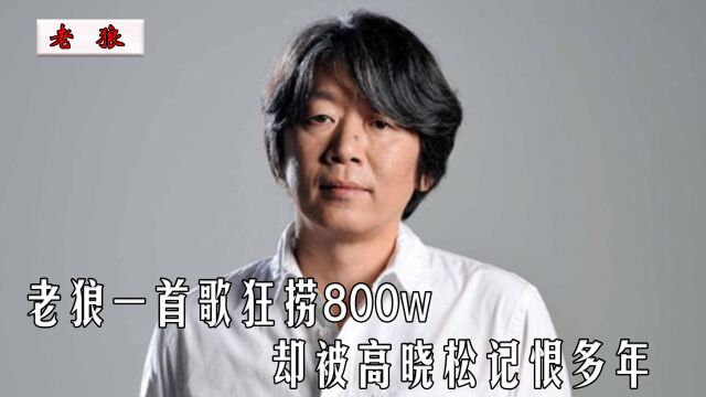 一首歌狂捞800w,却被高晓松记恨多年,巅峰时期的老狼到底有多强