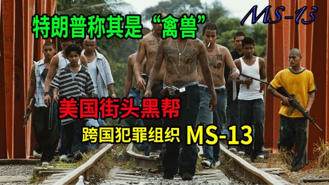 美国街头黑帮跨国犯罪组织MS13!成员近10万,特朗普称其是禽兽