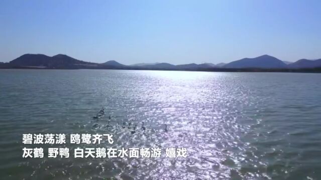 青山绿水丨保定市徐水区:春暖瀑河 候鸟归来