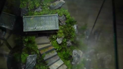 【苔藓微景观】制作深山中的寺庙石阶！