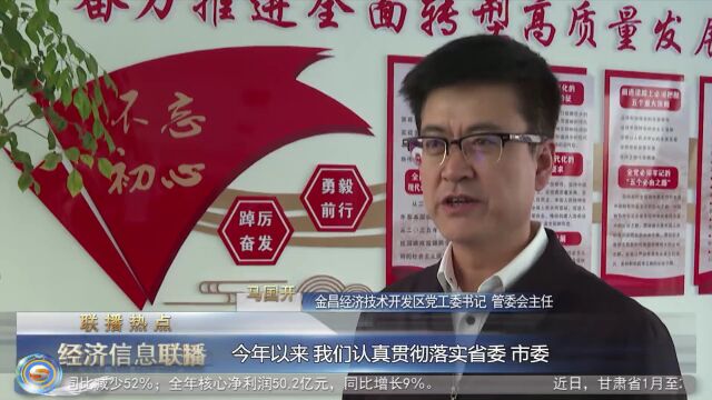 【“三抓三促”行动进行时】——金昌:“三抓三促”提干劲 项目建设“加速度”