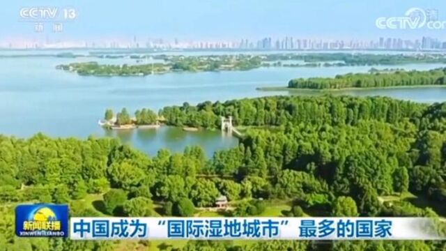 最美盐城湿地