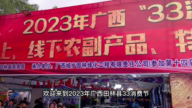 2023年广西“33消费节”(田林站)正式开启