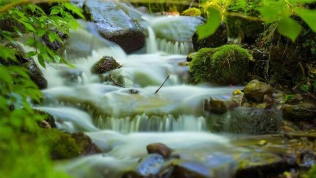 陶渊明的诗《四时》以诗当画 勾勒出一幅真实传神的四季风光画