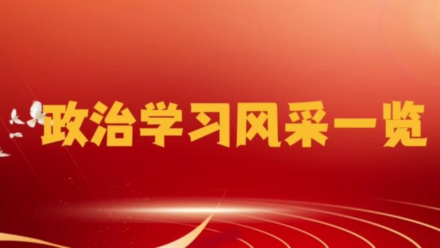 政治学习风采一览