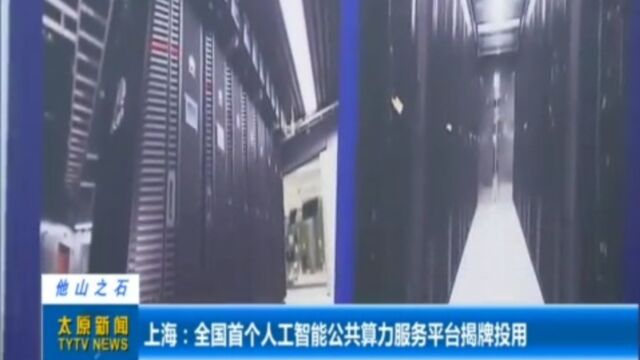 上海:全国首个人工智能公共算力服务平台揭牌投用