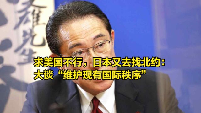 求美国不行,日本又跑去找北约:大谈“维护现有国际秩序”