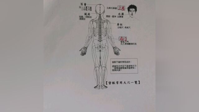 中医学习笔记