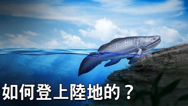 生命是如何登上陆地的?地球上第一个陆地生物!