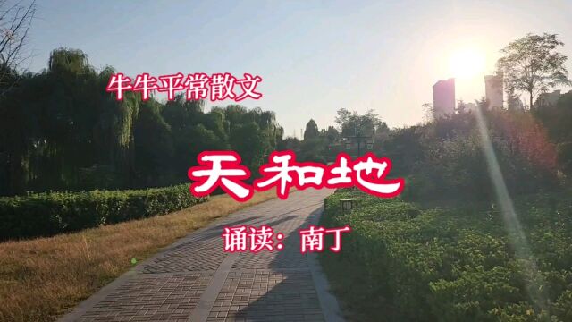 牛牛平常散文《天和地》诵读:南丁