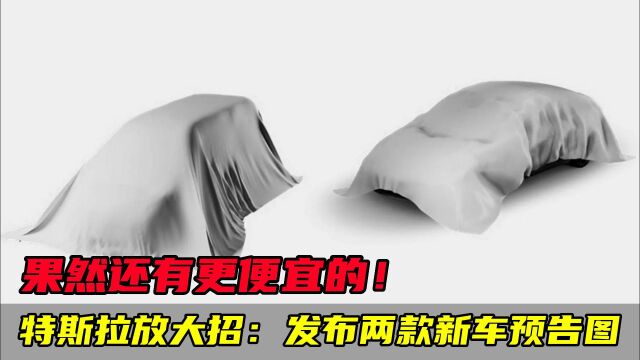 特斯拉再放大招:发布两款新车预告图!果然还有更便宜的