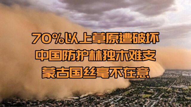 70%以上草原遭破坏,中国防护林独木难支,蒙古国丝毫不在意