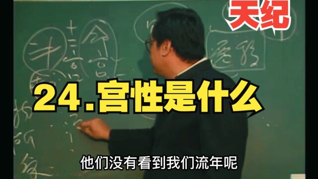 24.宫性是什么