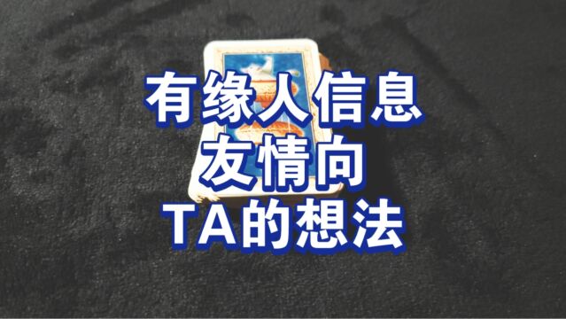 友情TA的想法