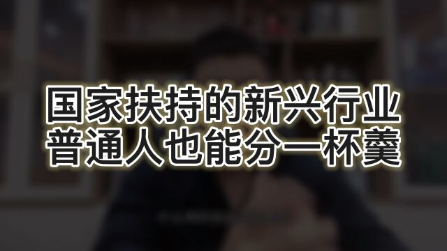 国家扶持的新兴行业,普通人也能分一杯羹