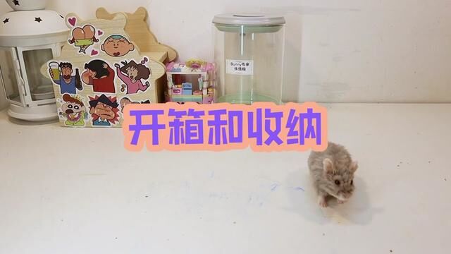 开箱和收纳 #仓鼠用品开箱 #asmr助眠视频