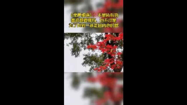 《柔声细语》:不是所有的喜欢都要拥有,也不过是为了找到一条走回内心的路