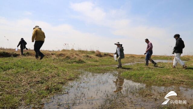 摸清生物多样性“家底” 山东师范大学科研团队再出发