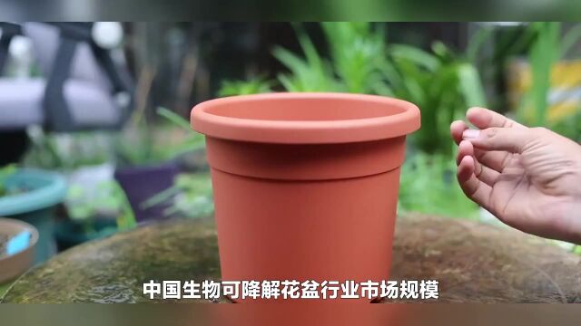 中国生物可降解花盆市场规模及未来发展趋势