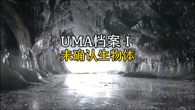 在UMA未知生物档案中,竟然隐藏着这么多未确定生物,太可怕