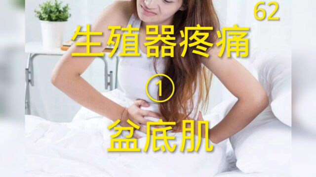 细说盆底肌