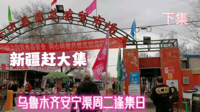 新疆乌鲁木齐新市区赶大集,安宁渠每周二的逢集日,感受烟火气息