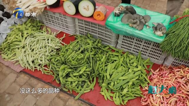 这是豆角荟萃吧!这个摊位的豆角种类真不少,每种口感都不一样