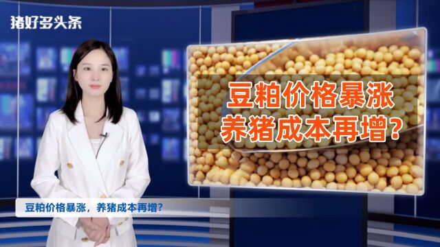 难!豆粕突然猛涨500元/吨!养猪人直呼:卖了猪就得还饲料款!