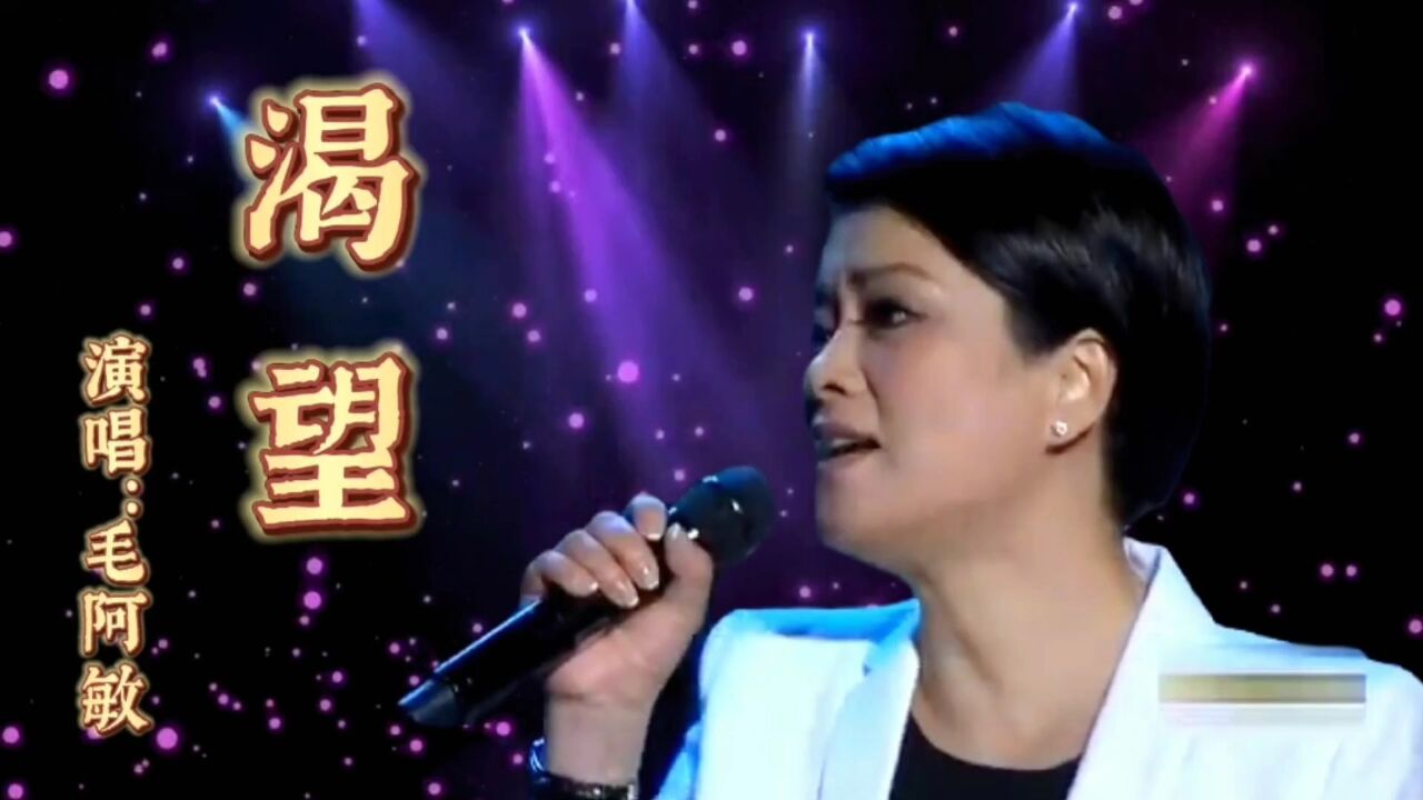 请欣赏毛阿敏演唱的《渴望》歌声深情伤感,令人陶醉!