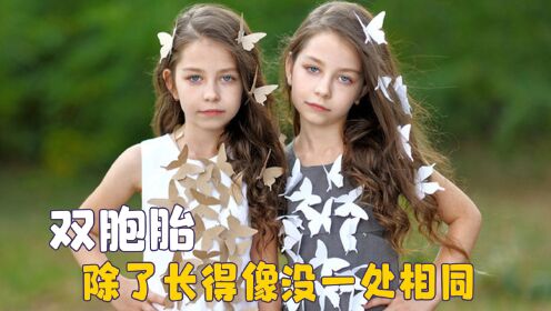 双胞胎性格迥异，除了长得像没一处是相同的，感性和理性的碰撞_高清1080P在线观看平台_腾讯视频