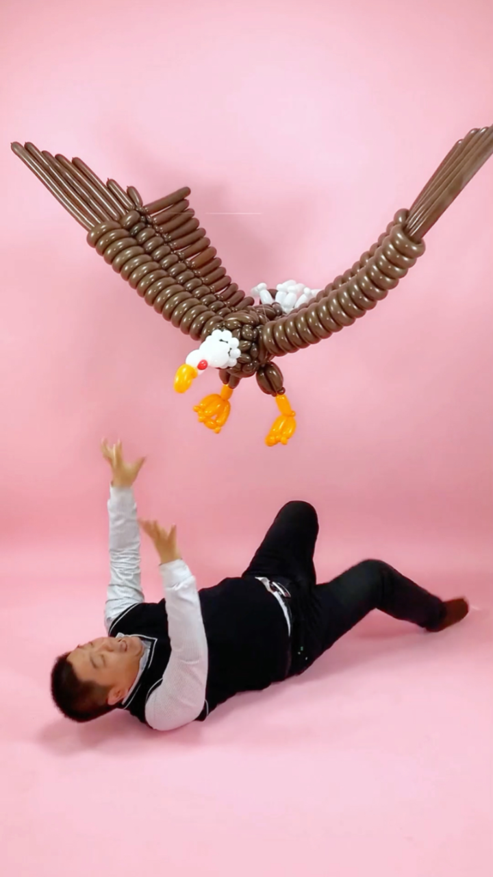 用气球做一只老鹰.