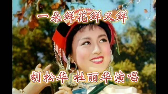 经典歌曲回顾一朵鲜花鲜又鲜