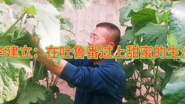 逐梦吐鲁番 | 李建立:带领村民发展设施农业增收致富