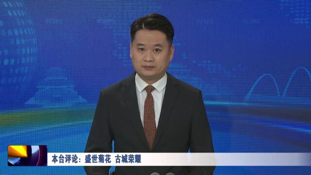 【本台评论】盛世菊花 古城荣耀