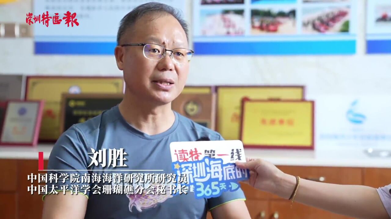 中国科学院南海海洋研究所研究员、中国太平洋学会珊瑚礁分会秘书长刘胜接受读特客户端专访_高清1080P在线观看平台_腾讯视频