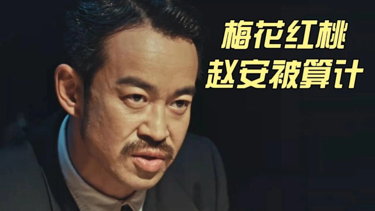 梅花红桃:罗冠群和陈家平挖坑,赵安被算计,他还是被扳倒了