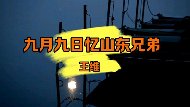 九月九日忆山东兄弟(小升初必背古诗文)